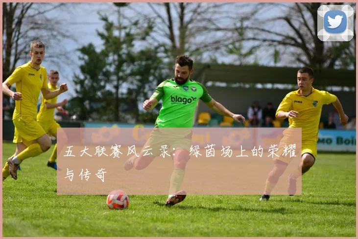 五大联赛风云录：绿茵场上的荣耀与传奇